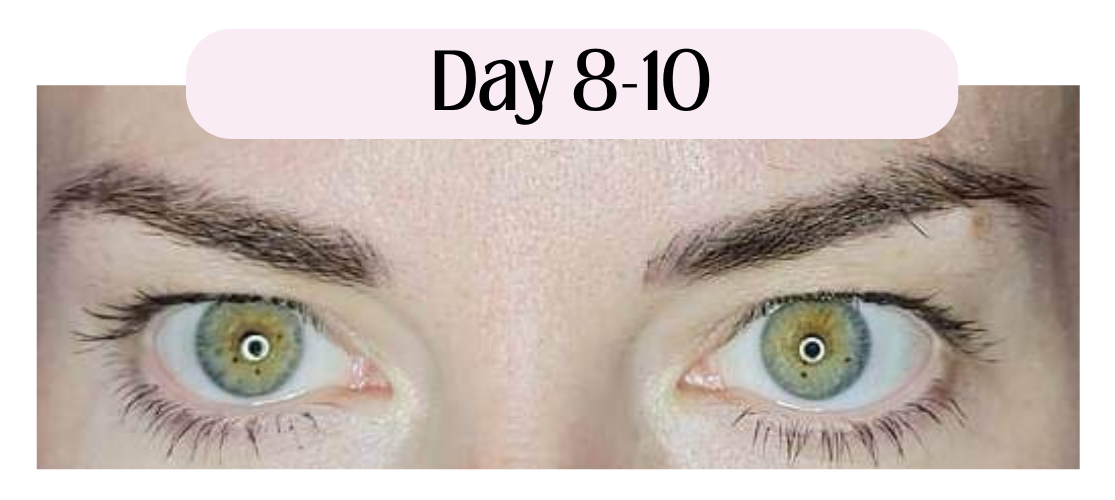 Image of permanent makeup tattoo service microbladed eyebrows showing what to expect during the healing process on day 8.  Eyebrow microblading after 1-30 days of the healing process day to day.